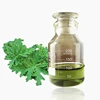 OEM/ ODM pure and natural Geranium leaf oil for cosmetics
