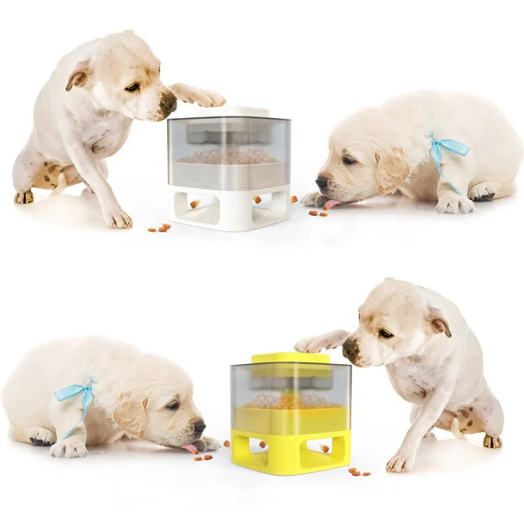 

2021 free sample cat dog pet food automatic feeders container water bottle bowl toy accessories