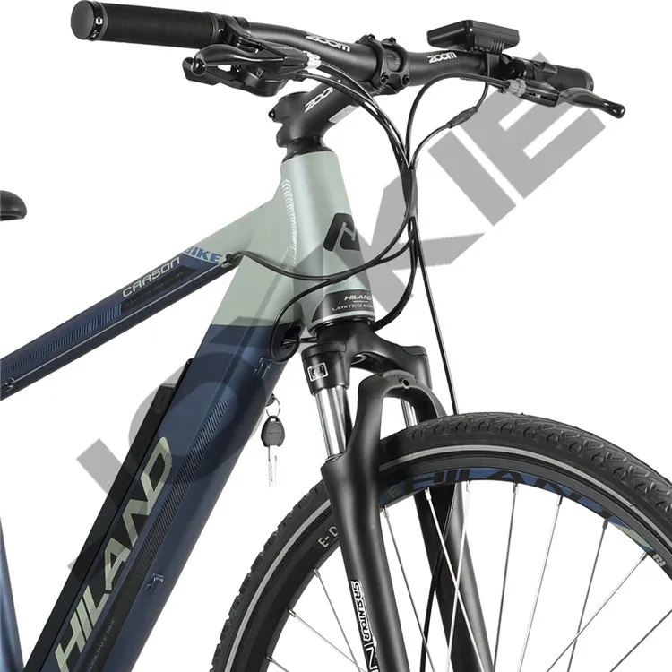 electric bike (2).jpg
