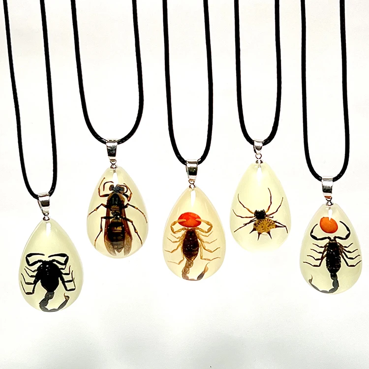 

2024 Wholesale Cute Spider-Shaped Insect Necklace Pendant Real Insect in Resin Strand Chain Type for Men Made Copper Alloy