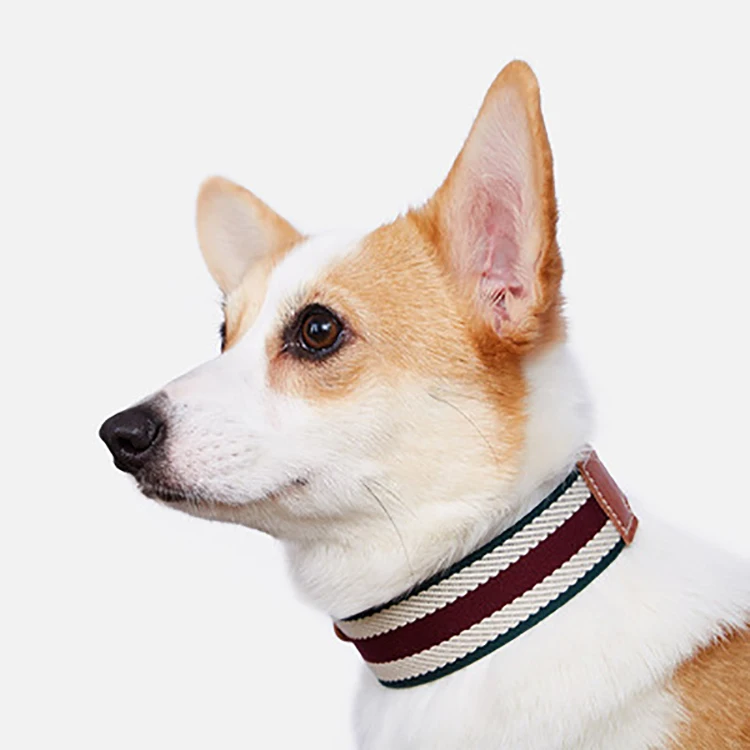 

Hot Amazon Pet Product Custom Adjustable Luxury Pet Dog Collars for Dogs, Picture