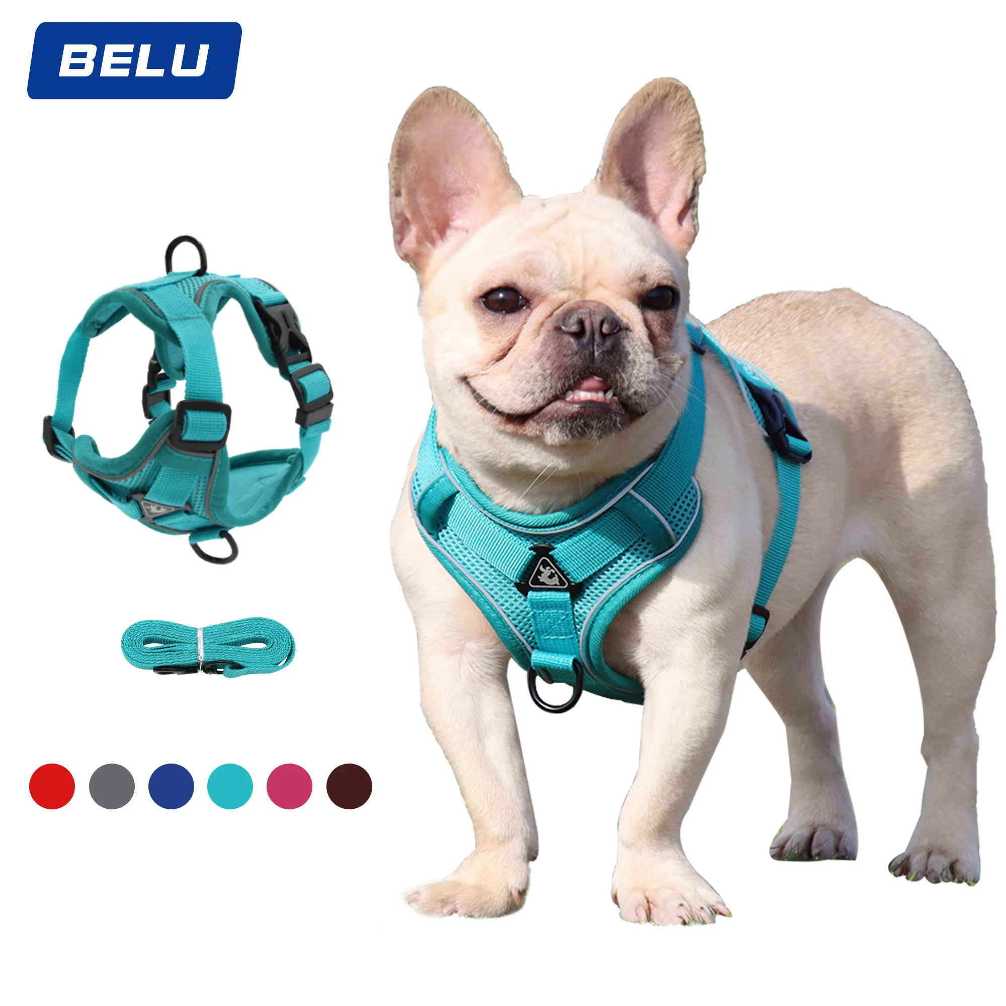 

Fashion Pet Vest type traction chest strap cat dog adjustable retractable traction rope walking dog rope collar