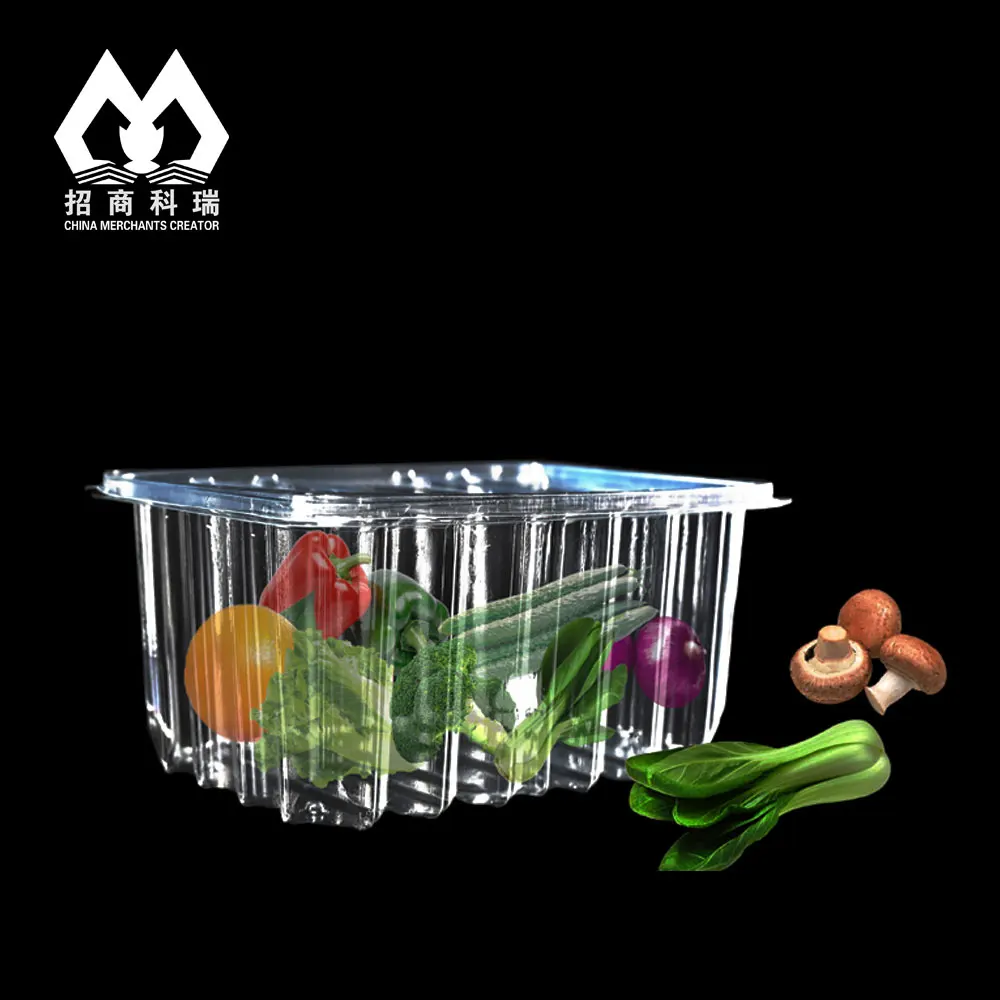 Disposable Clear Plastic Fruit And Vegetable Packaging Box Take