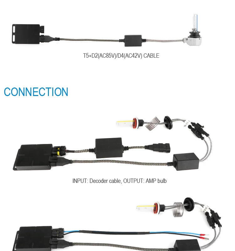 20200617-T5- (7).jpg