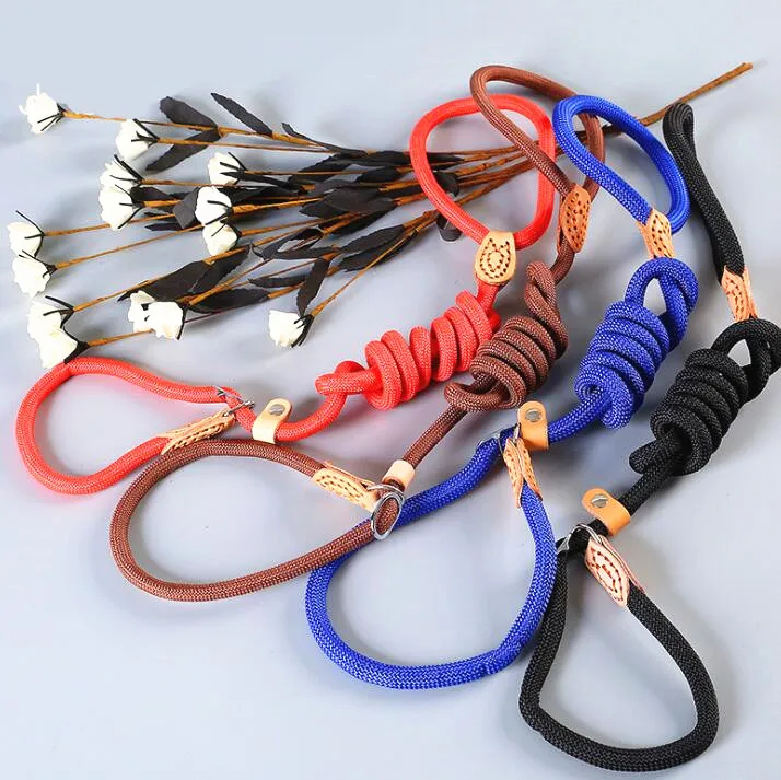 

2021 New Design Nylon Pet Leash Durable P Shape Walking Dog Rope Pet Accessories Leash