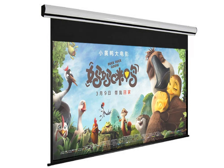 electric screen4.jpg