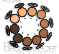 

10 Colors Cream To Powder Foundation And Round Compact Powder