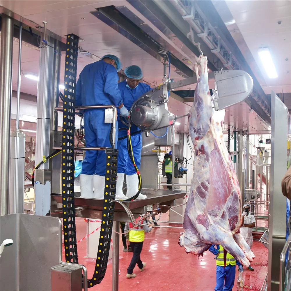 High Automatic Pig Slaughtering Line For Slaughterhouse - Buy High ...