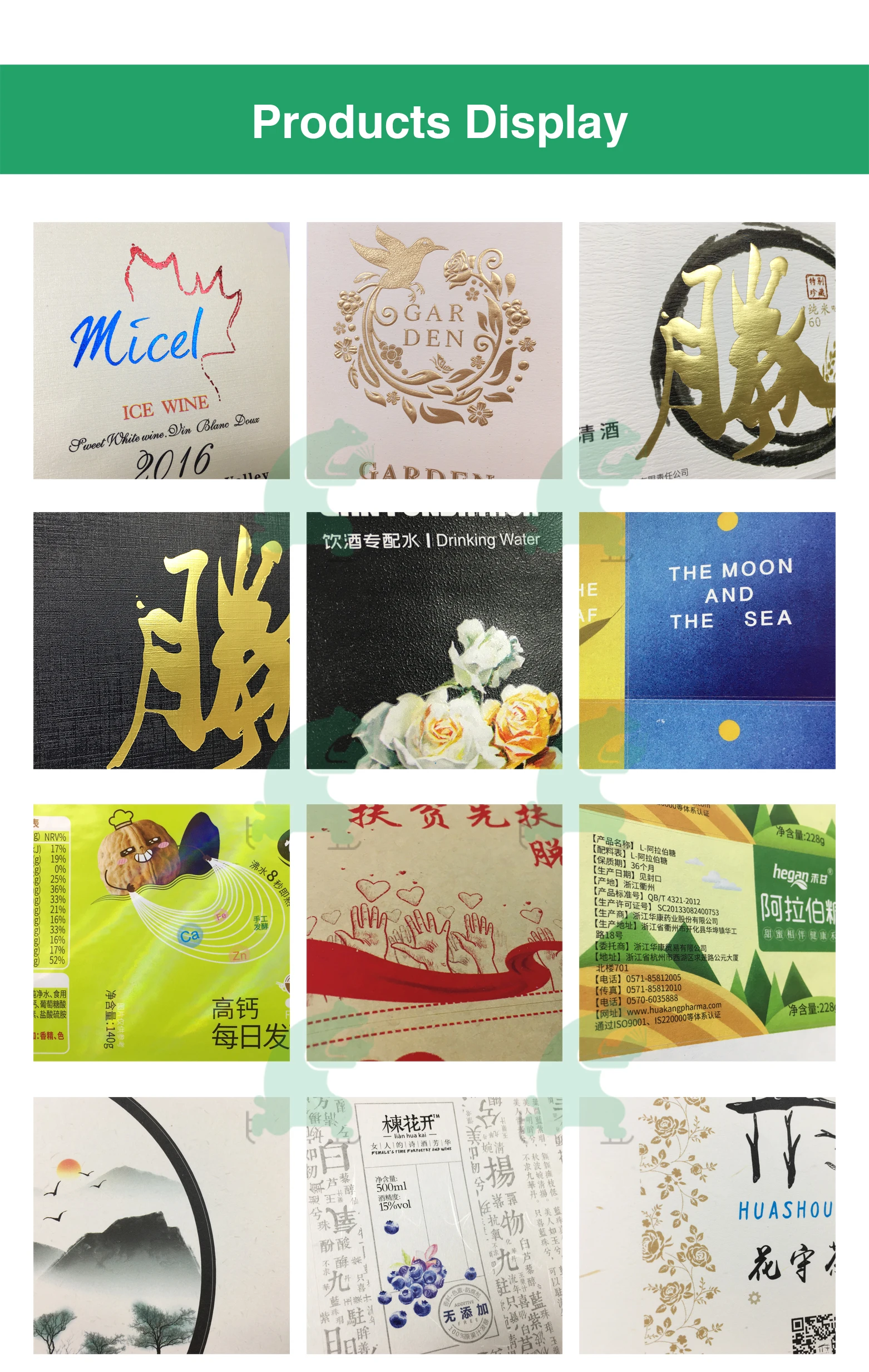 Skatingbear Product 01.jpg