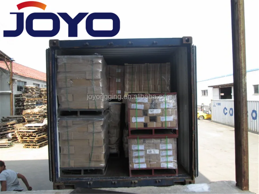 
High Quality ss304 or ss316 safety Carabiner DIN5299 Spring Snap hook with screw 