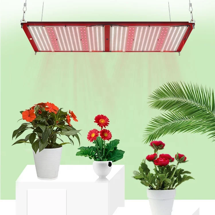 

Maaadro 2020 Led Grow Light Free Shipping, Rita Fang Led Grow Light Veg Flower Full XRF 240Watt Indoor Grow Lights
