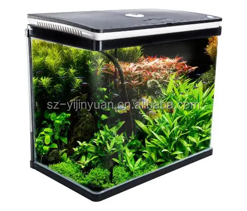 Rectangle Small Acrylic Fish Tank Glass Aquarium With Fllter And Led 