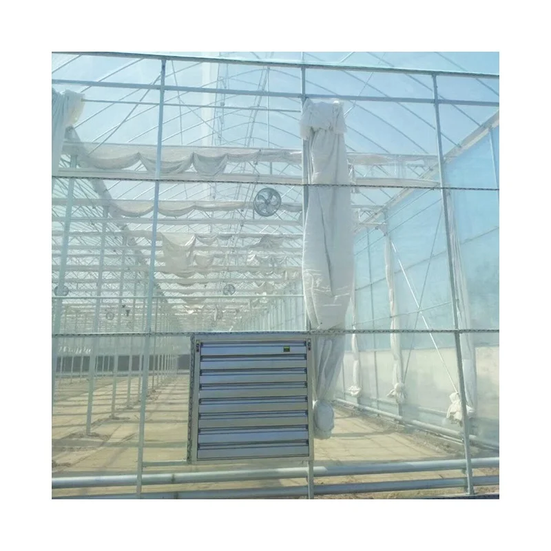 
Greenhouses Covered Plastic poly film greenhouse multi-span hydroponic greenhouse 