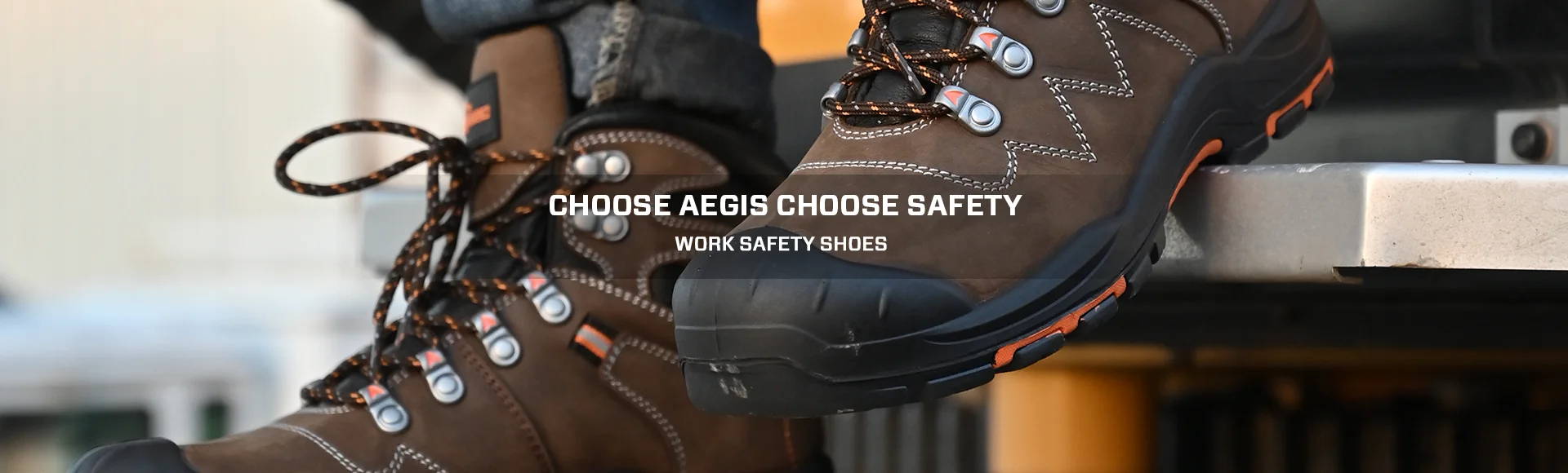 Company Overview - Anhui Aegis Safety Technology Co., Ltd.