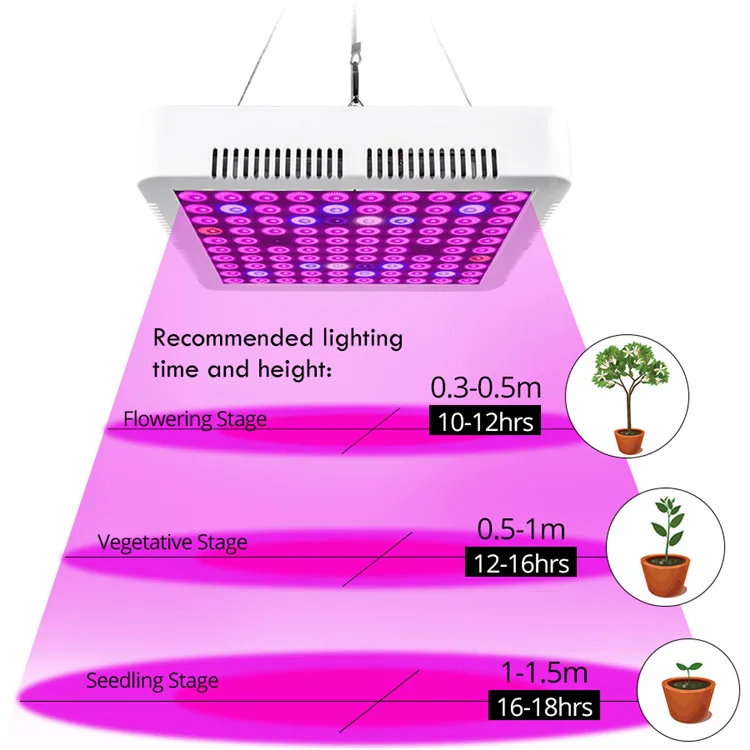 led grow light hydroponic