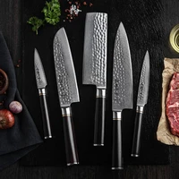 

5 pcs professional damascus steel kitchen knife set