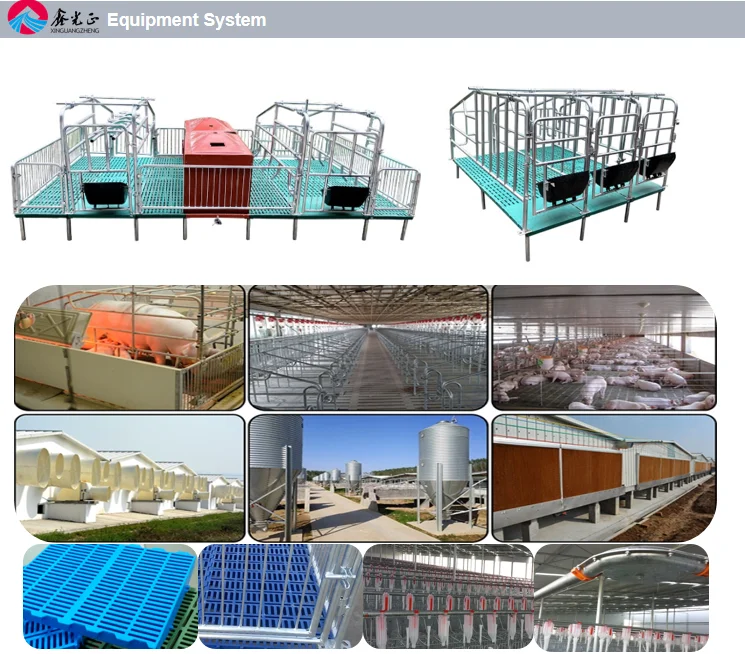 Ready Made Factory Piggery House Design Pig Farming Steel Structure Pig