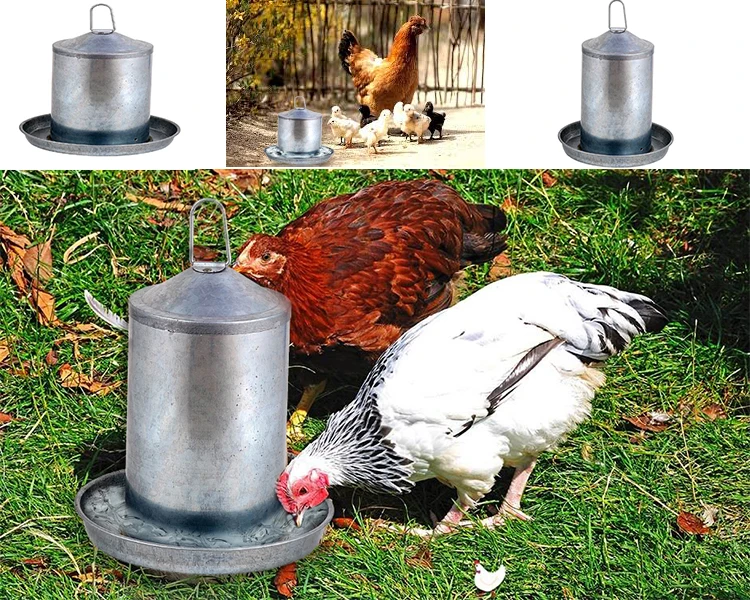 painted galvanized chicken water feeder