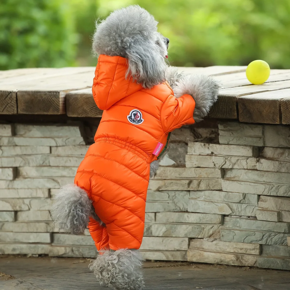 

Wholesale high quality windproof down padded jacket dog warm coat pet dog clothes, Red,black,blue,green,yellow,orange