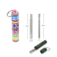 

Extendable Straw With Case Keyring & Cleaning Brush, keychain case