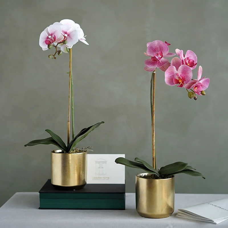 

Modern Gold Indoor Mini Orchid Planters Flowerpot Bonsai Succulent Small Flower Pot Ceramic, Gold/silver