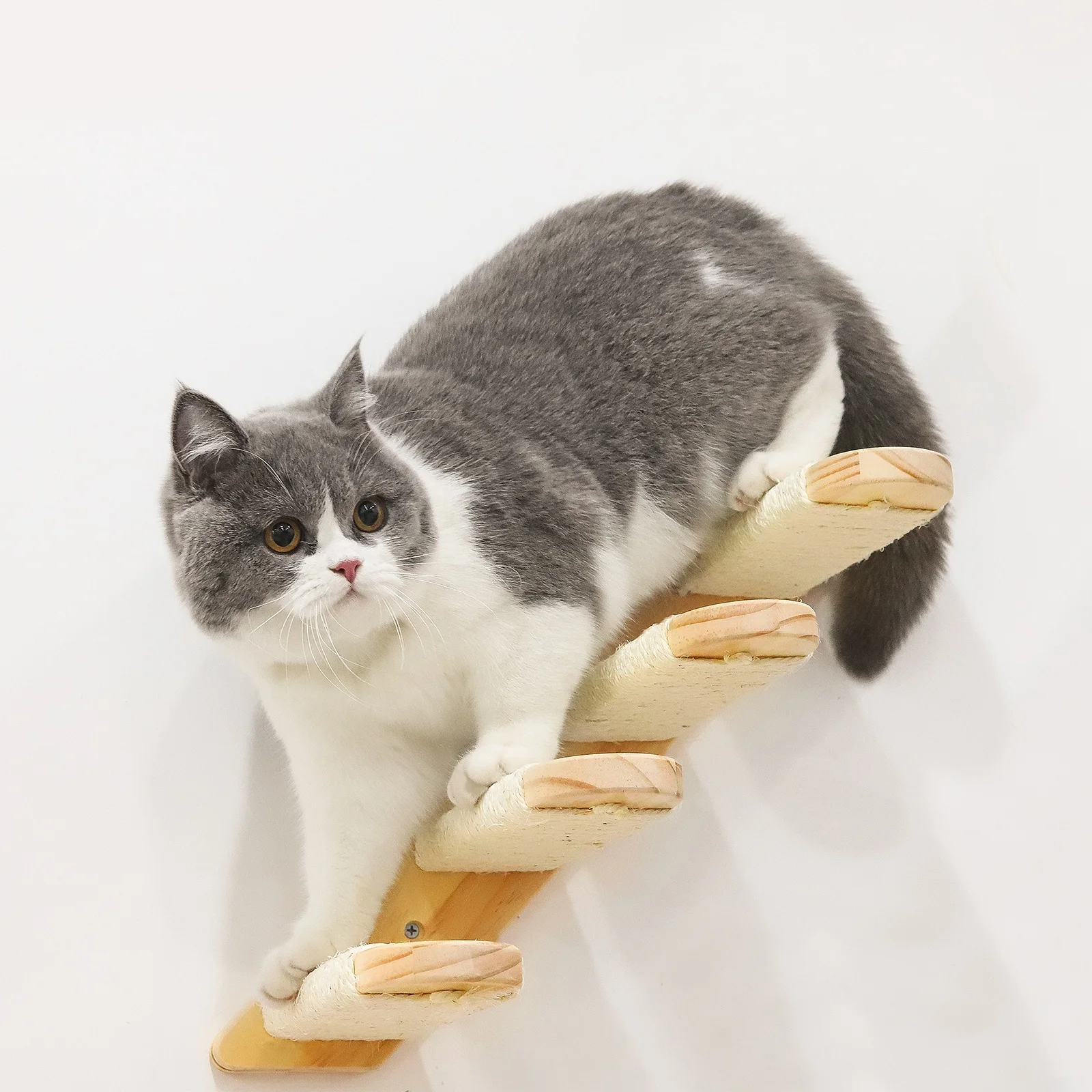 

Cat Climbing Shelf Wall Mounted Four Step Cat Stairway with Jute Scratching for Cats Scratching Posts, Gold