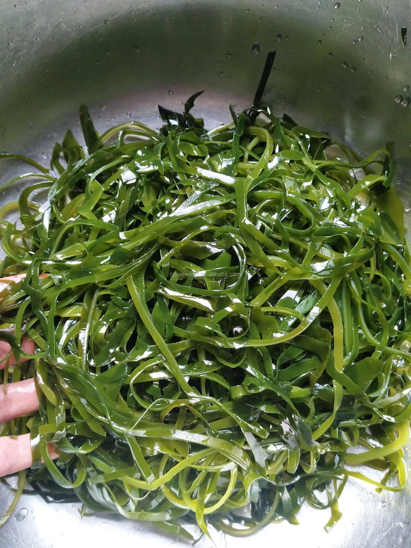 Factory Supply Sun Dried Sea Kelp Sliced/dried Seaweed Shredded Buy