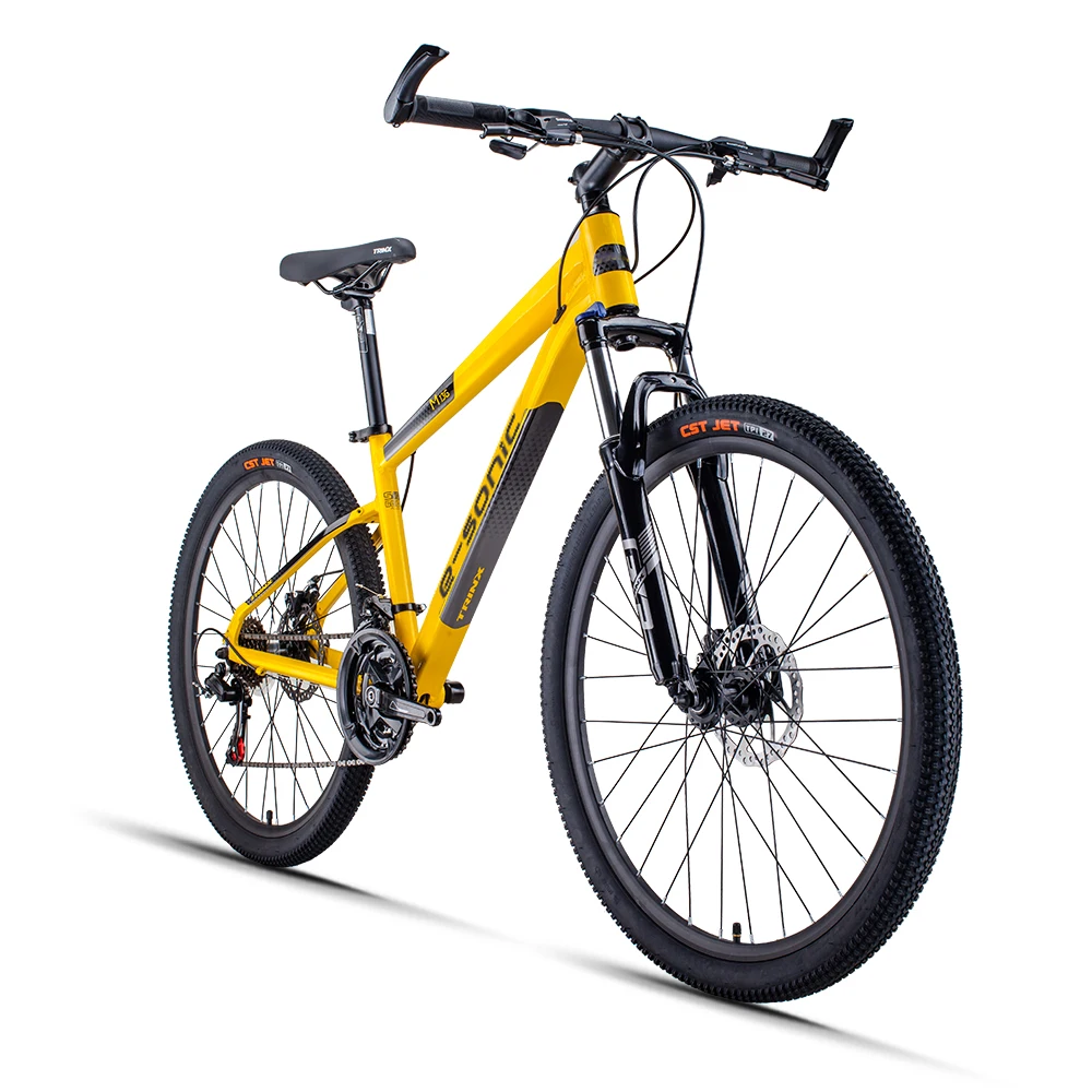 

Professional manufacturer supplying OEM MTB bicycle 26" mountain bike with low price from GUANGZHOU LEONIS TRINX FACTORY