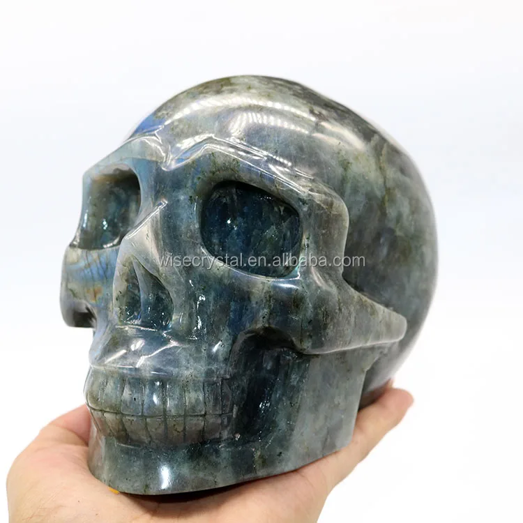 skull (15)