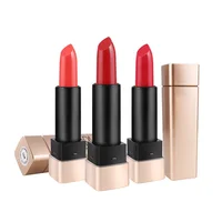 

Professional Lips Makeup Waterproof Long Lasting Matte Private Label Custom Lipstick