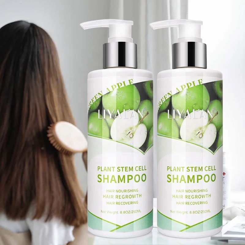 

Ins hot selling natural organic herbal olive oil plant apple stem cell shampoo