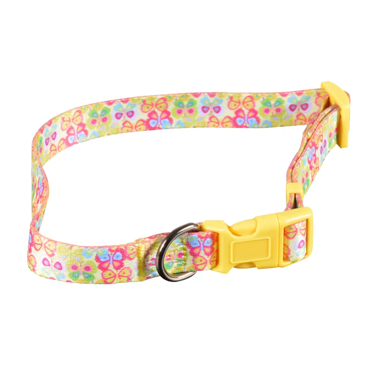 Pet-products-1 (2)