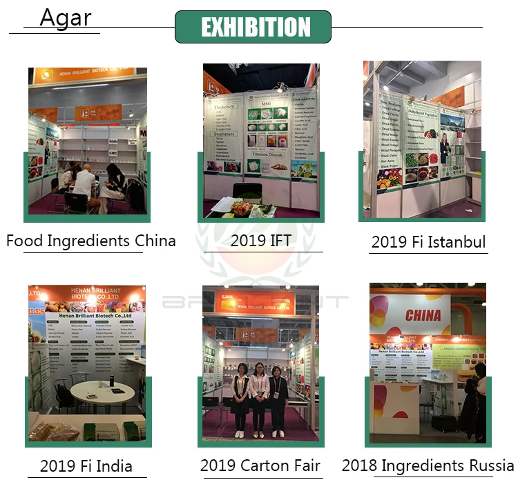 Agar Exhibition
