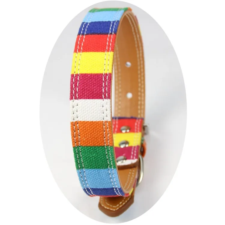 

Amazon New Rainbow Color Canvas Dog Collar + Pu Alloy Buckle Traction Rope, Picture shows