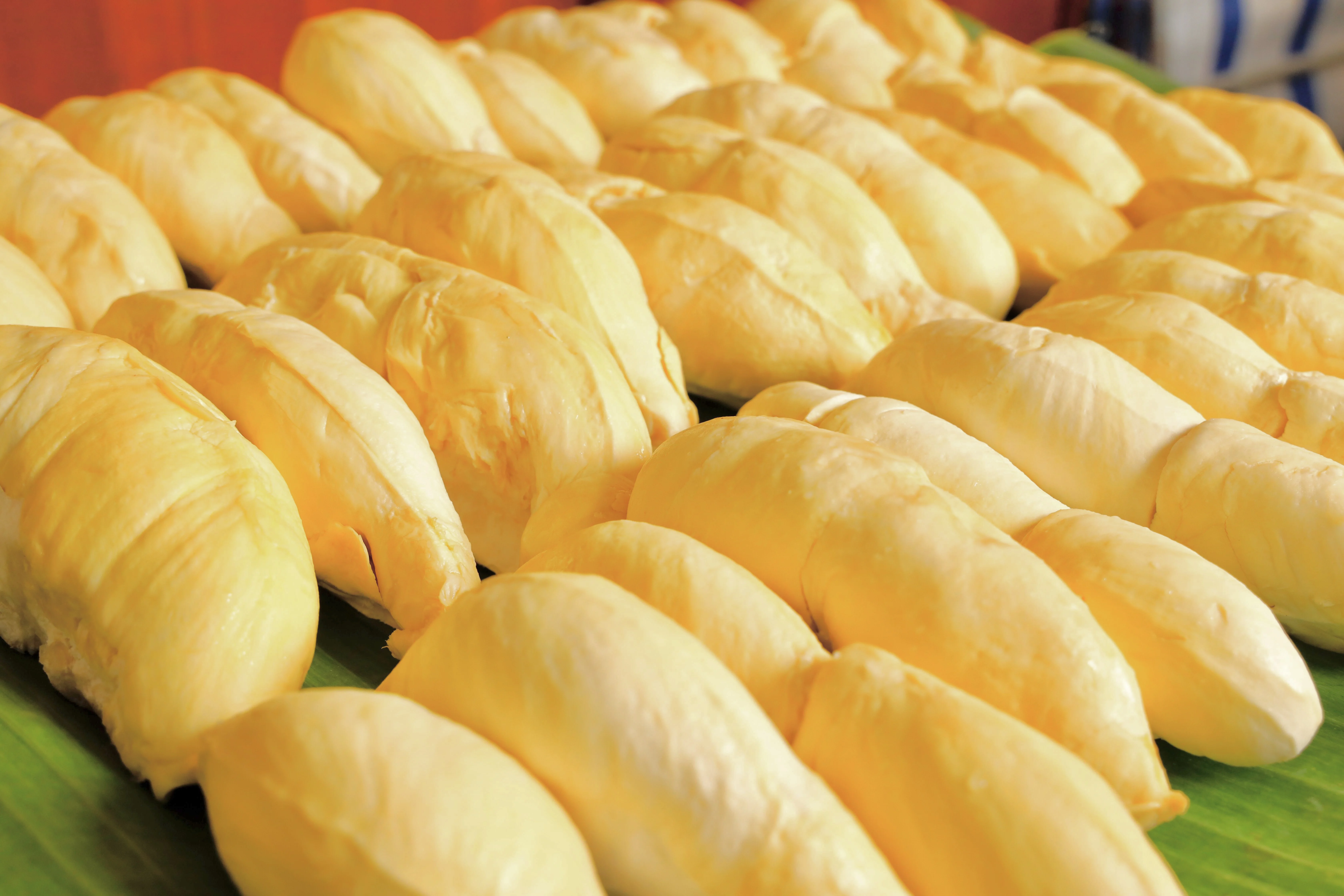 
Premium Quality Monthong from Thailand Fresh Durians 