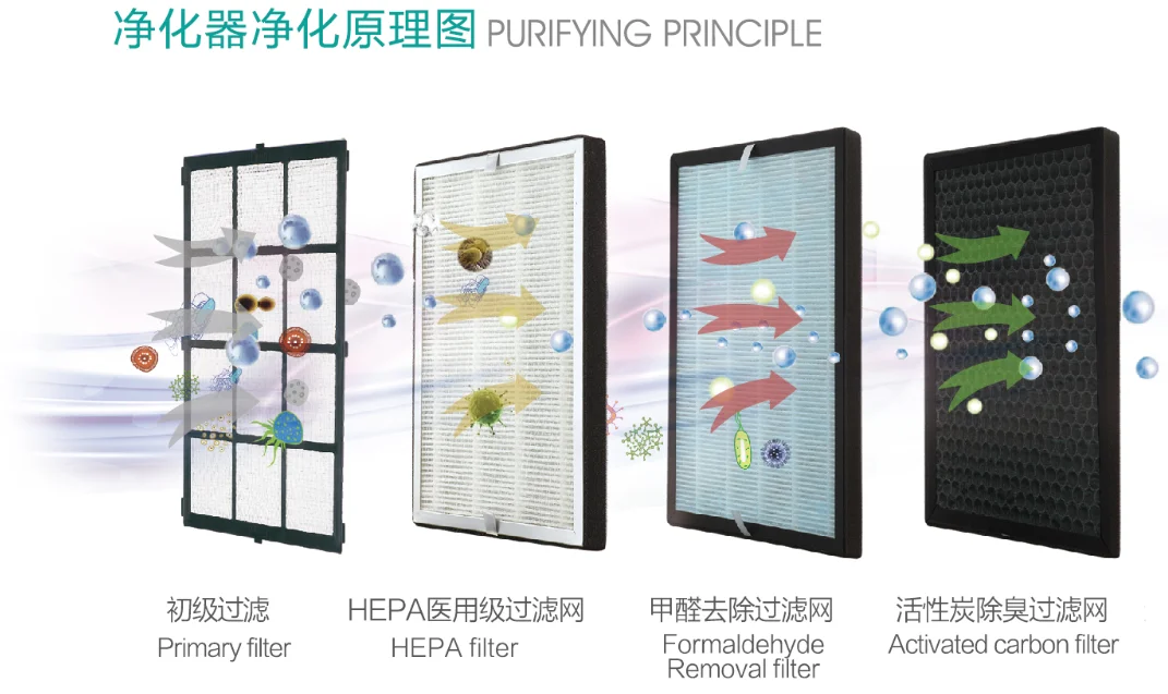 purifying principle.png