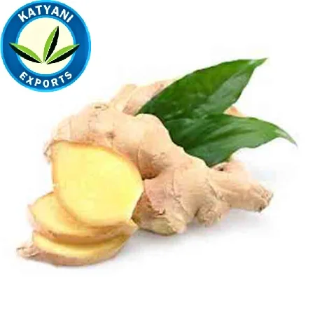 
100% Best Organic Ginger Essential Oil for Hair Growth at Sale Price 
