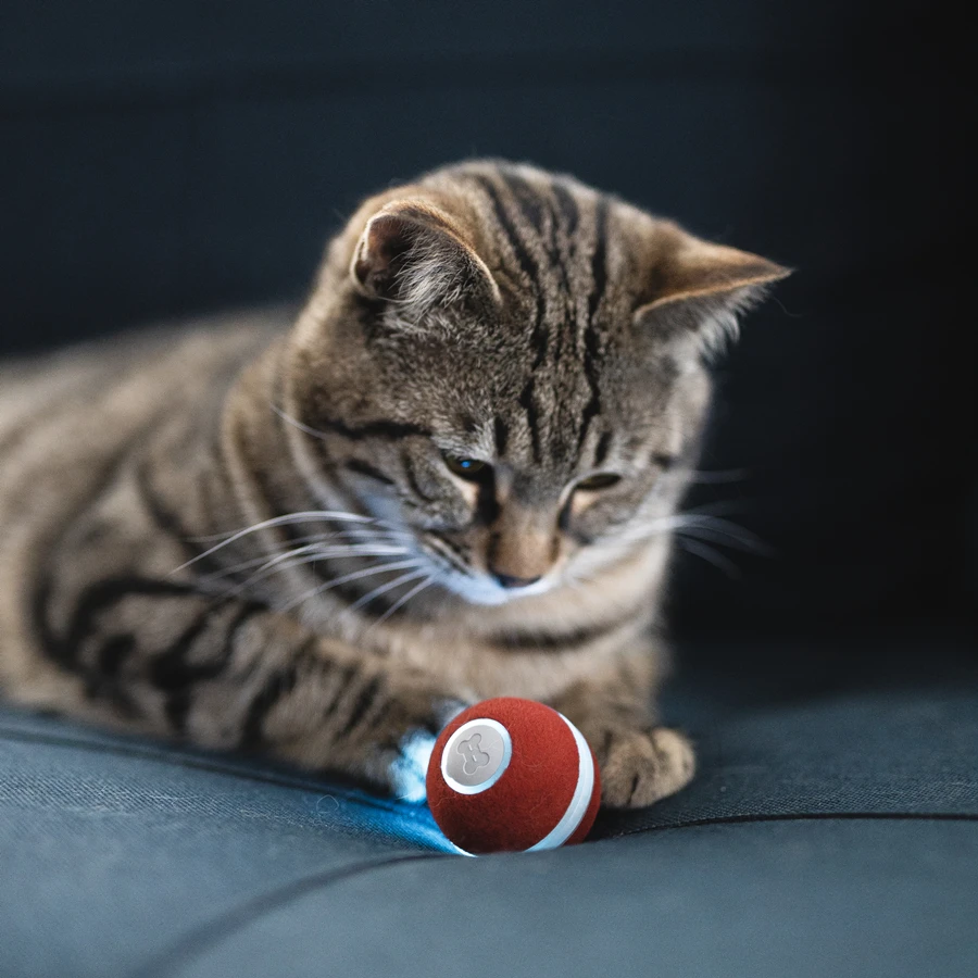 

China Promotion Wicked Ball Mini Ball Pet Products Dog Pet Toy Cat Playing Toy Automatic Sensor Drop Shipping Ball Pet Toy