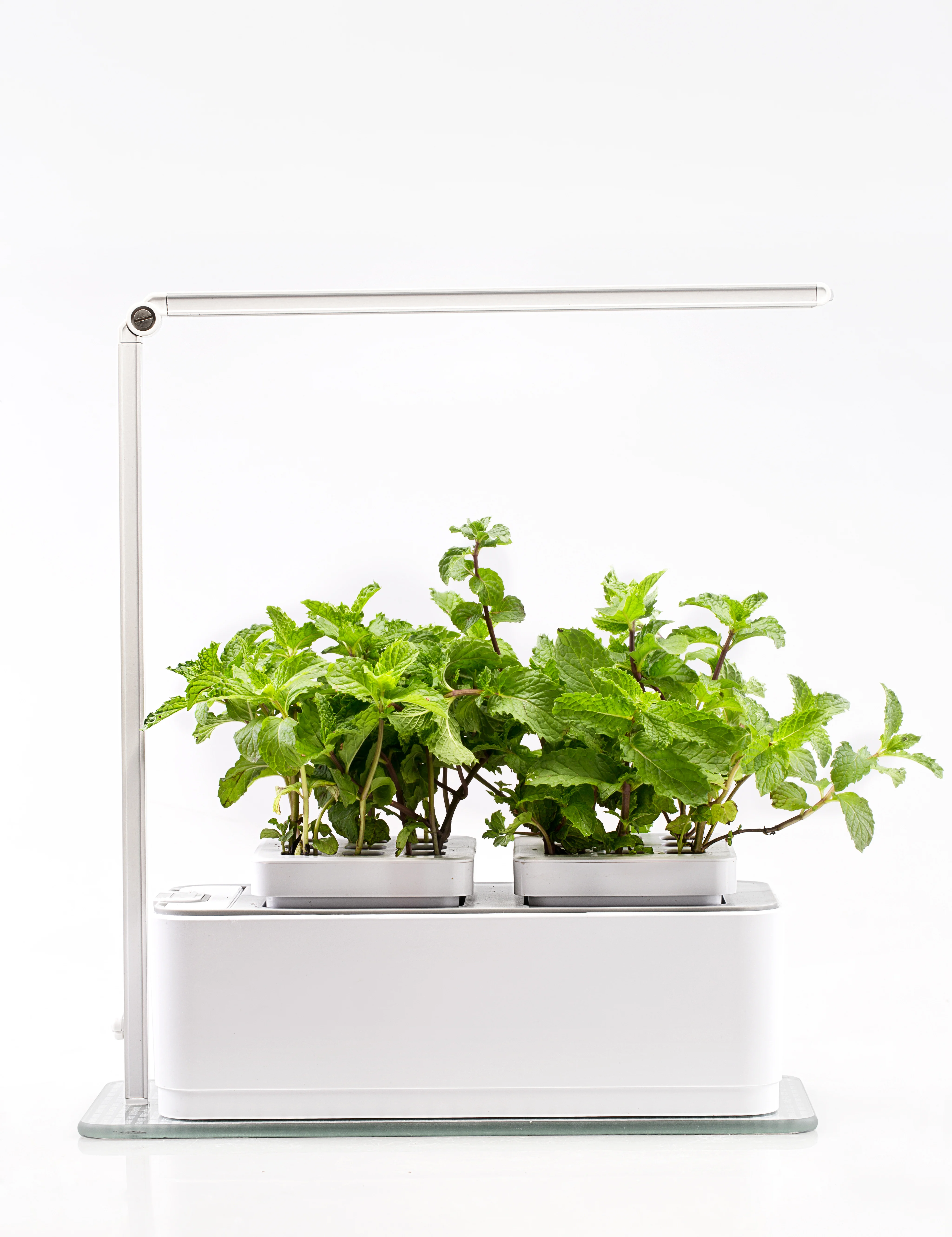 

New design LED Plant Grow Light Hydroponics Indoor Gardening Kit Smart Mini Indoor Gardening System Mini indoor Smart Garden