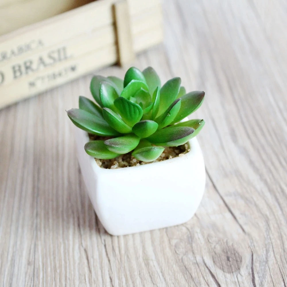 

2020 Amazon Hot Selling Pinrui New Home Decoration Green Artificial Succulent Plants, Customized