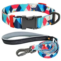 

Colorful Pattern Recycle Handmade Polyester Dog Collar and Leash Set