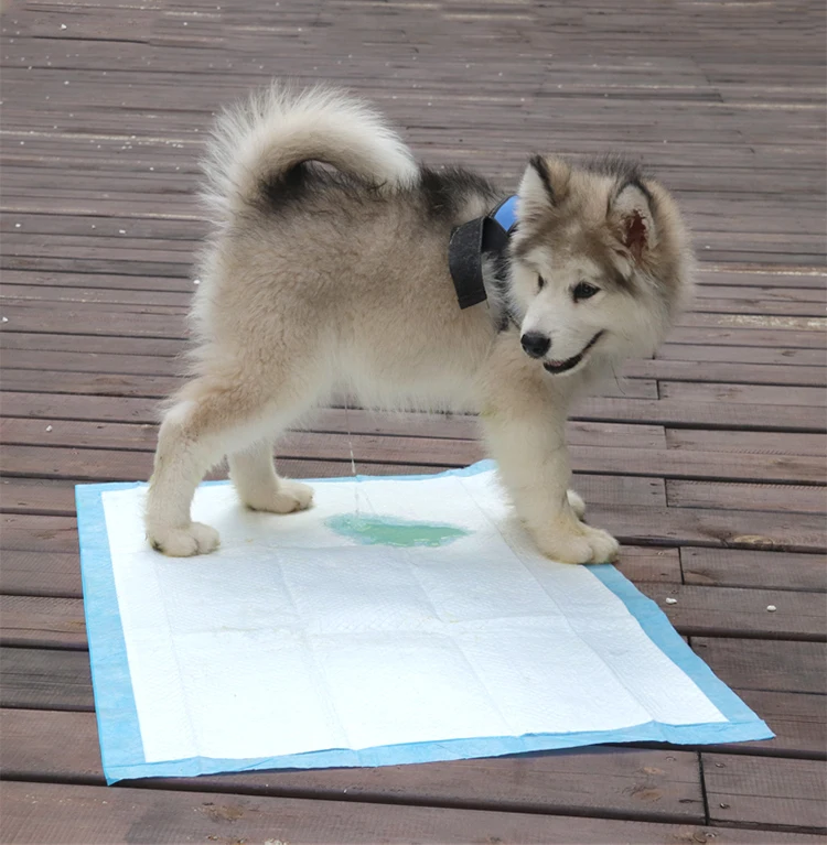 2020 New pet training pads dog and puppy potty training pads For Training 51*31In Used In Cages Dog Underpad