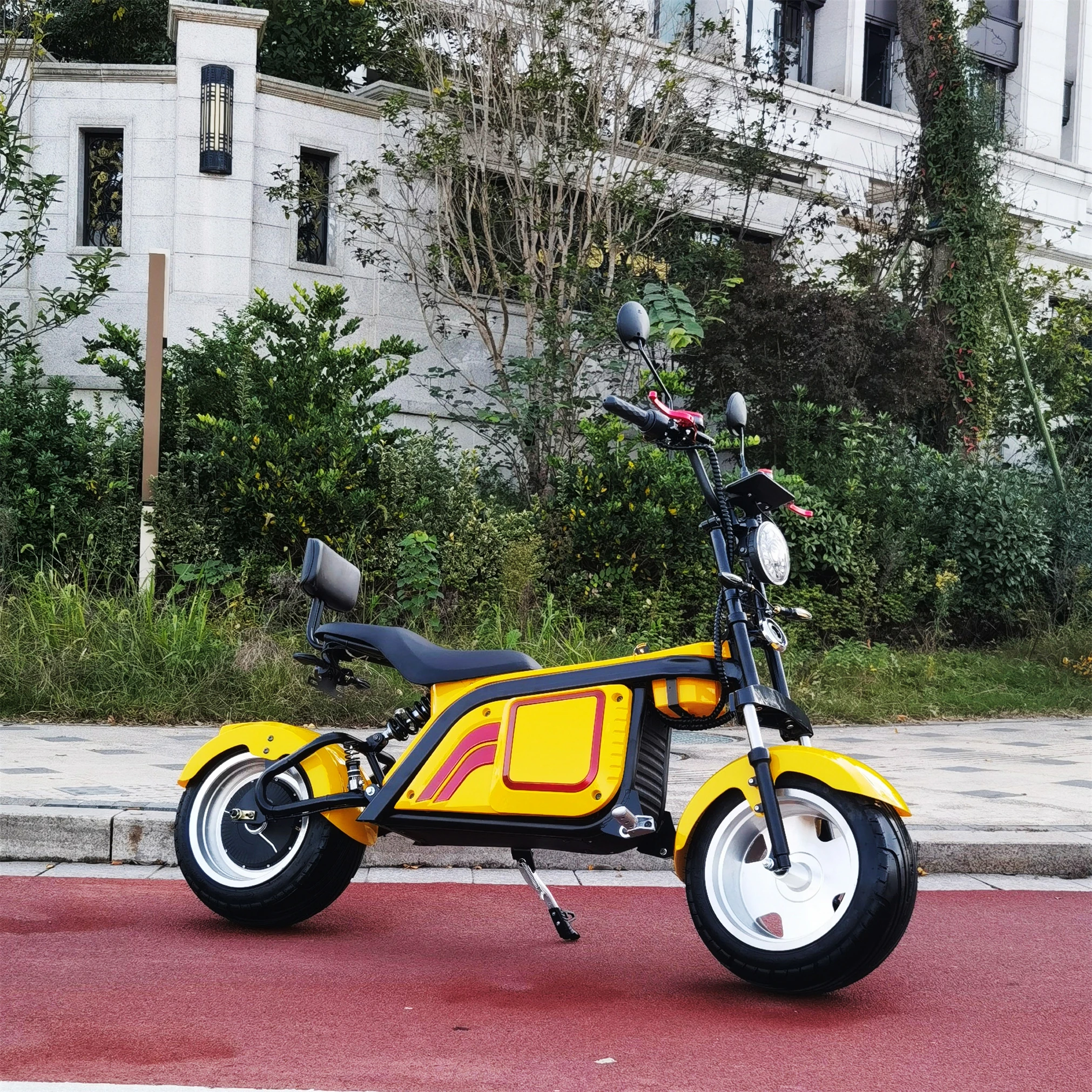 

Good Quality Stable Quality Complete Production Line Can Be Customized 2 Wheel Self-Balancing Electric Scooters