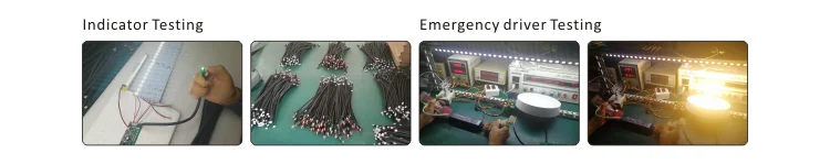 emergency light 220v