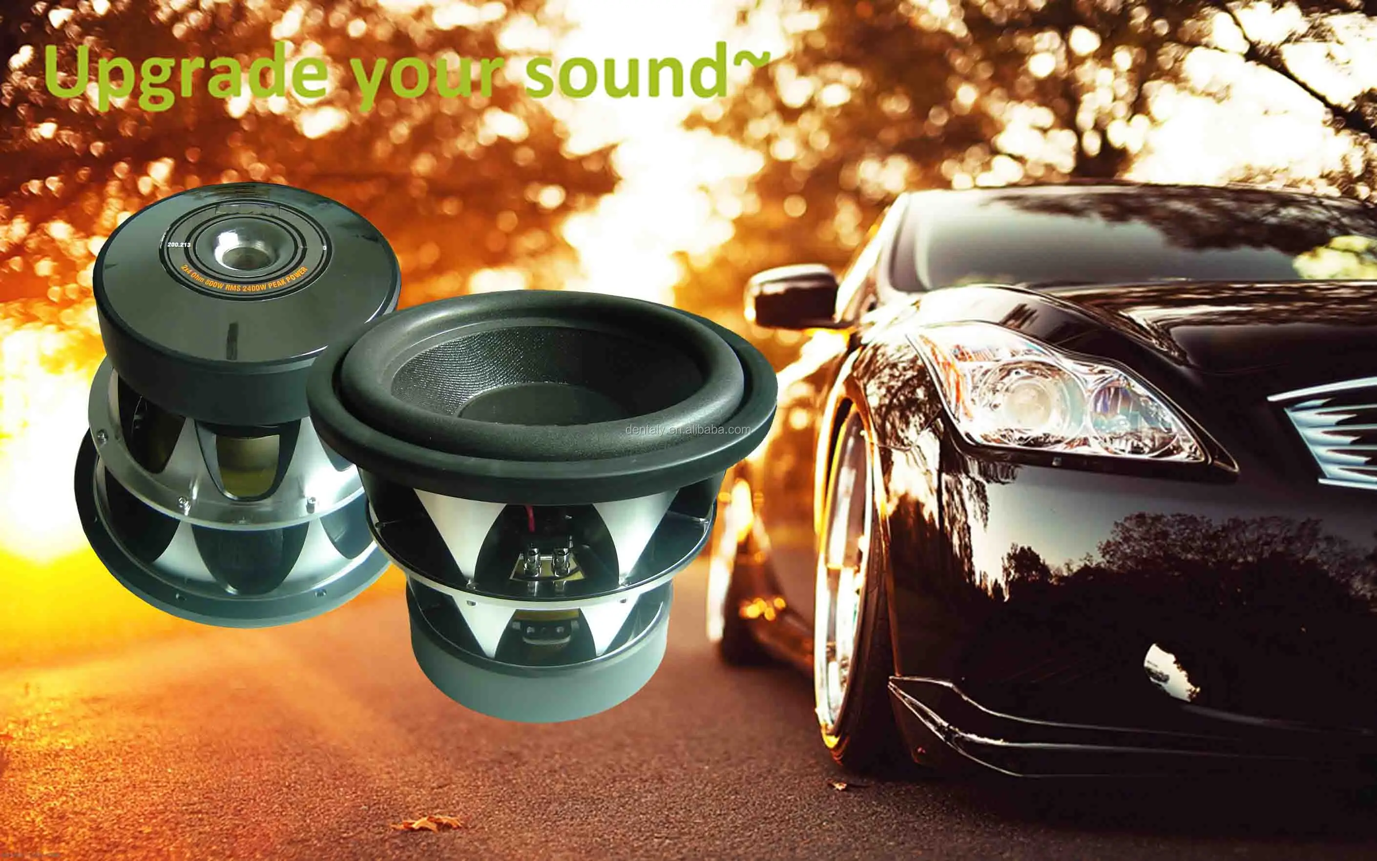 Hot Sale 12 Inch Subwoofer Car Audio Under Seat Speaker Subwoofer Spl