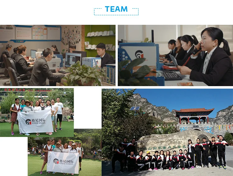 GNEE STEEL---TEAM