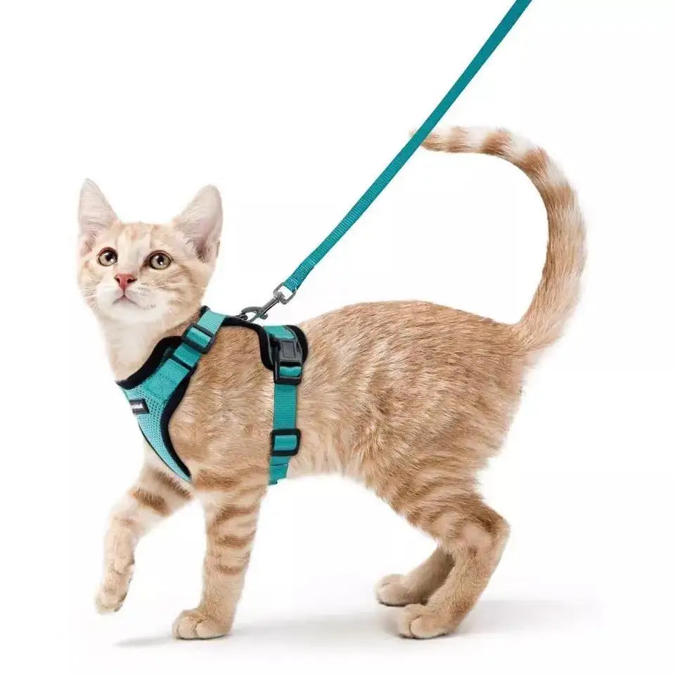 

Paw Dog Harness No Pull Easy Walk for dog vest, Customized color