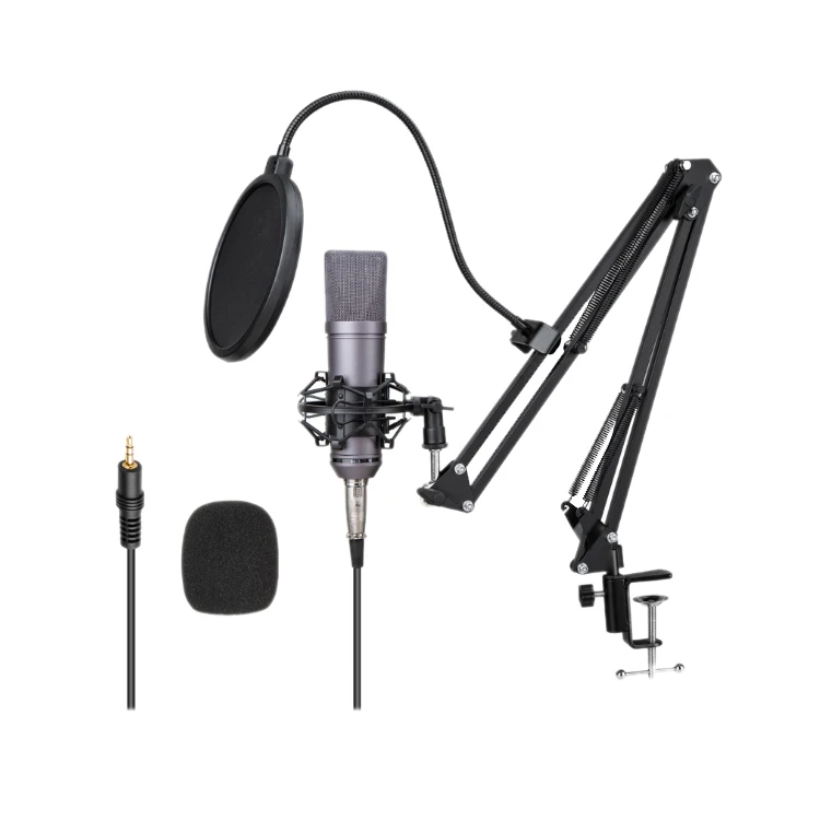 

Factory Direct Sell Desktop Microphone Studio Recording Professionnel Vocal With Stand And Filter For Pc Microphone Mics