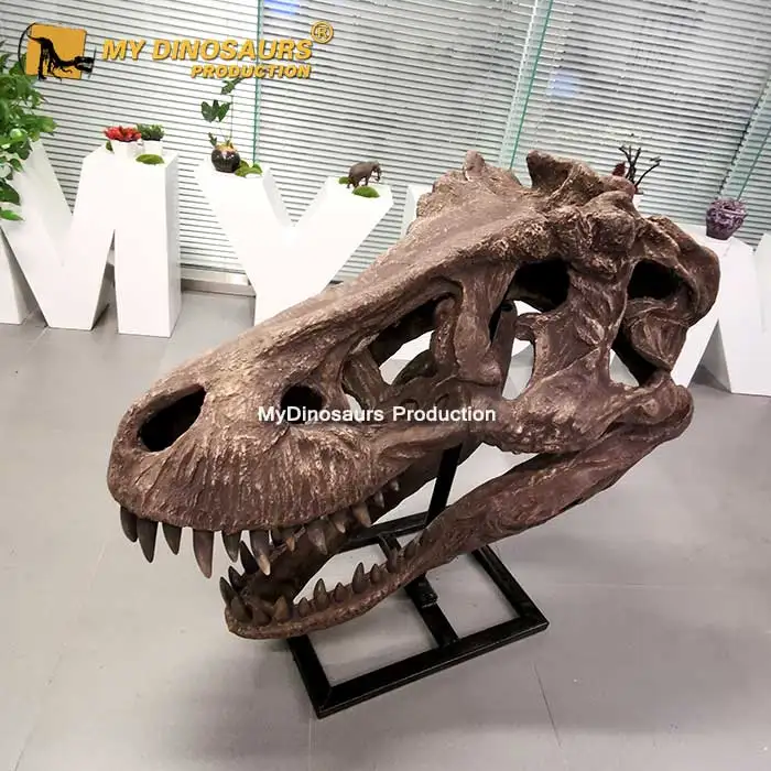 Life-Size-T-REX-Skull-1.jpg