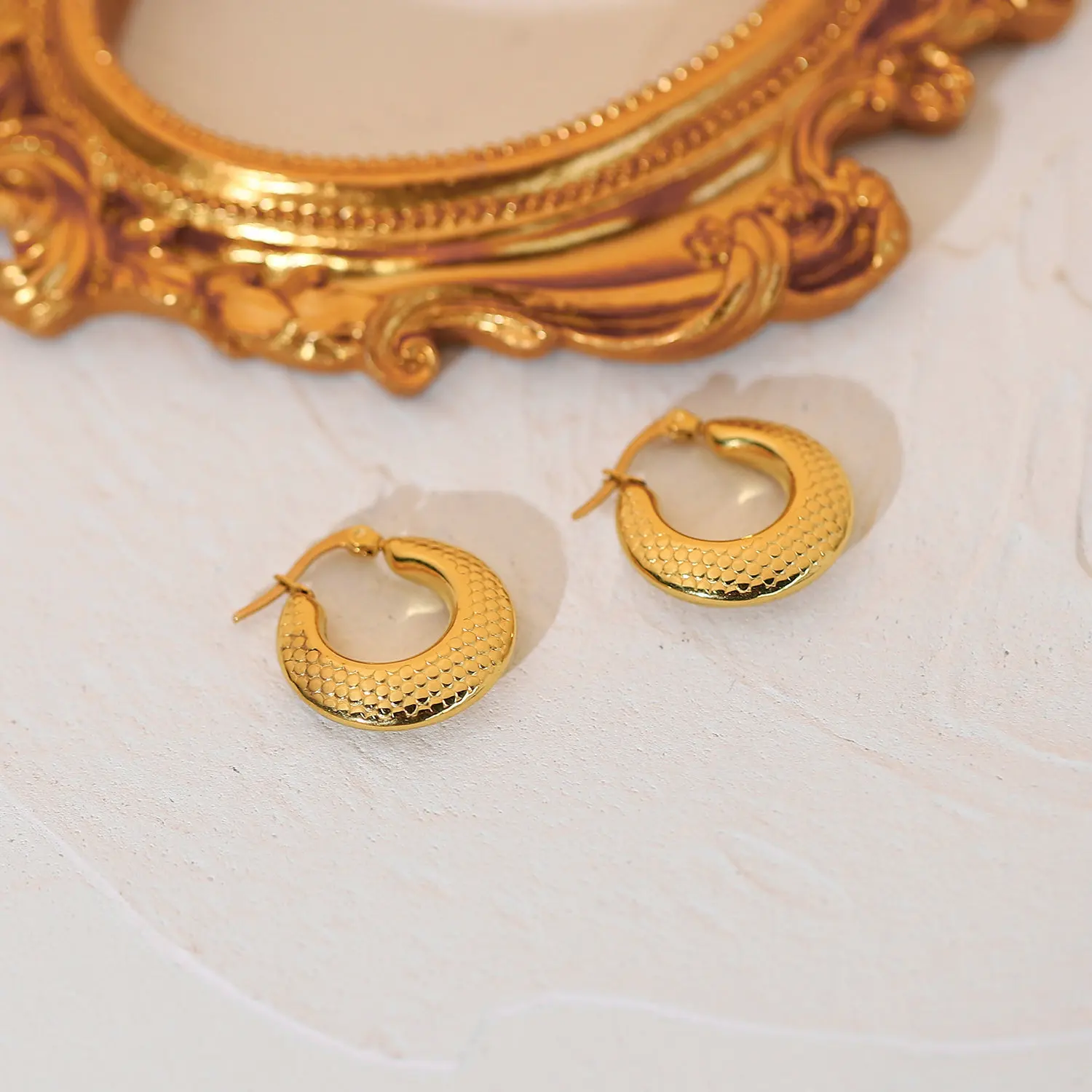 

French Fashion Women's Simple Gold Circle c Earrings High Quality Stainless Steel 18k Gold-Plated Fish Scale Earrings Jewelry, Like picture